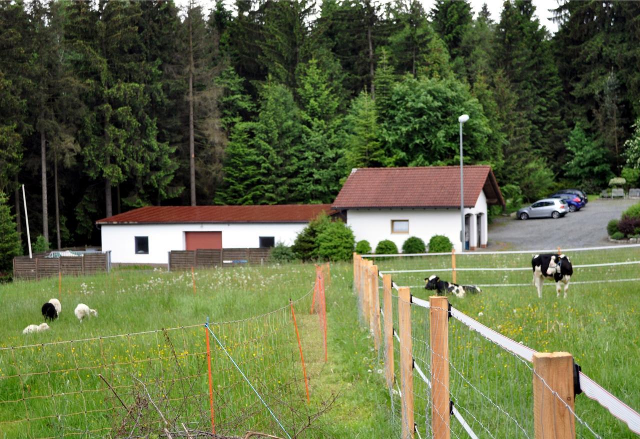 Ferienhaus Mueller Warmensteinach Eksteriør billede