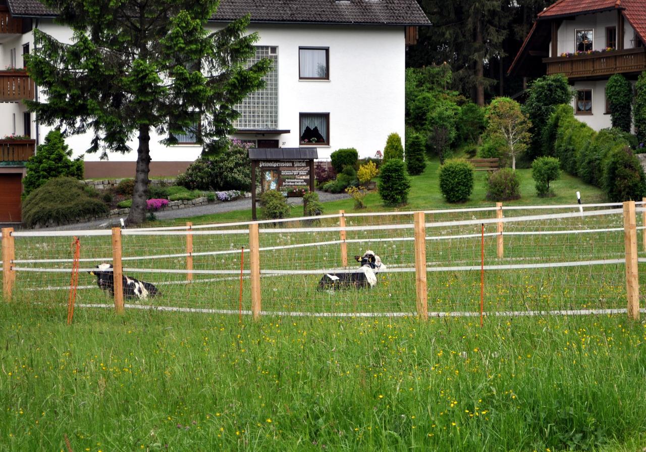 Ferienhaus Mueller Warmensteinach Eksteriør billede